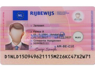 Kaufen Sie einfach einen registrierten niederländischen Führerschein