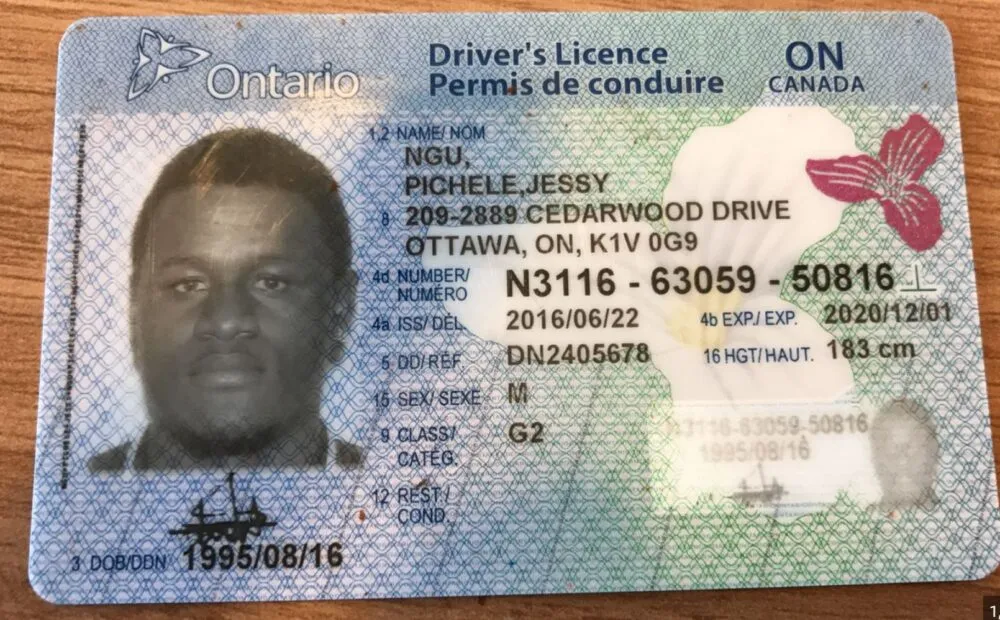 Buy real Canadian Driving License